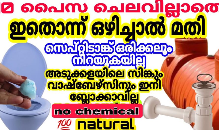 ബാത്റൂമുകൾ സുഗന്ധപൂരിതമാക്കുവാൻ ഇങ്ങനെ ചെയ്യണം.