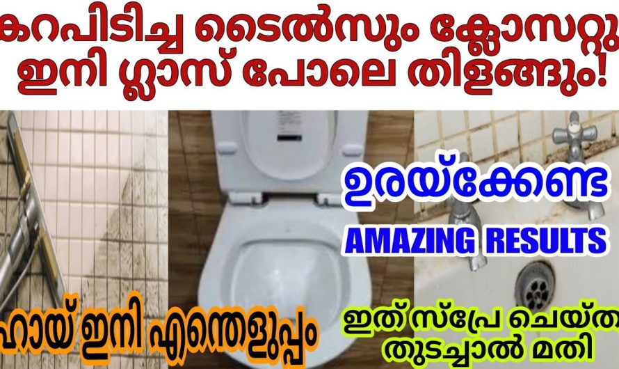 ബാത്റൂം ക്ലീൻ ചെയ്യുവാൻ ഈ രണ്ടു സാധനങ്ങൾ മാത്രം മതി.