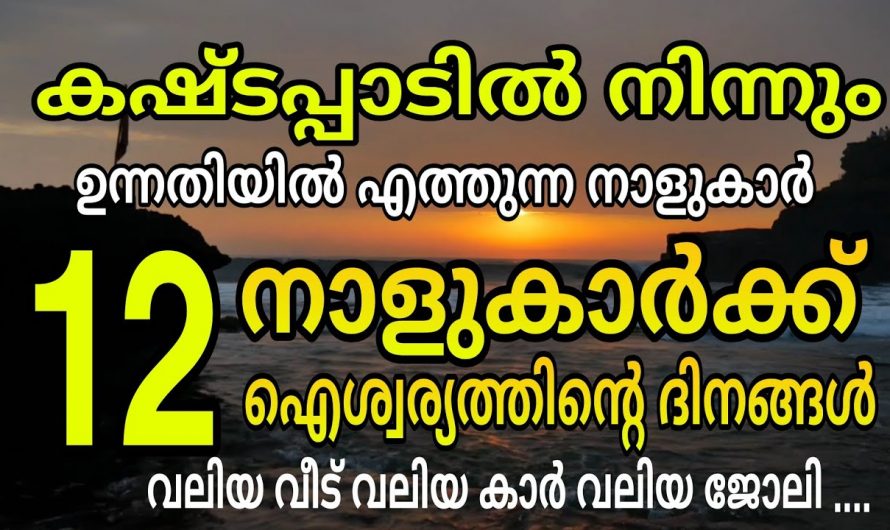 ഈ നക്ഷത്രക്കാരെ ഇനി പിടിച്ചാൽ കിട്ടില്ല ഇവർക്ക് ഐശ്വര്യത്തിന്റെ നാളുകൾ..