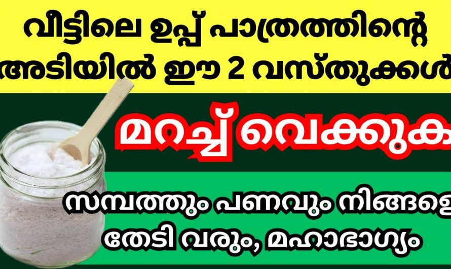 എത്ര വലിയ സാമ്പത്തിക ബുദ്ധിമുട്ടുകളും കടബാധ്യതകളും ഈ ഒരു കാര്യം ചെയ്താൽ മതി..