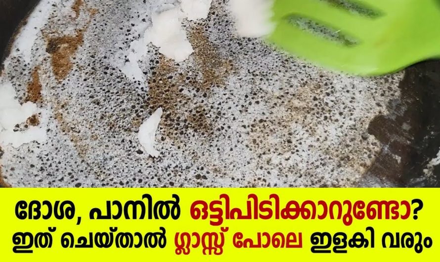 ദോശ ഉണ്ടാക്കുമ്പോൾ ഉണ്ടാകുന്ന ഈ പ്രശ്നം മാറ്റുവാൻ ഇങ്ങനെ ചെയ്താൽ മതി