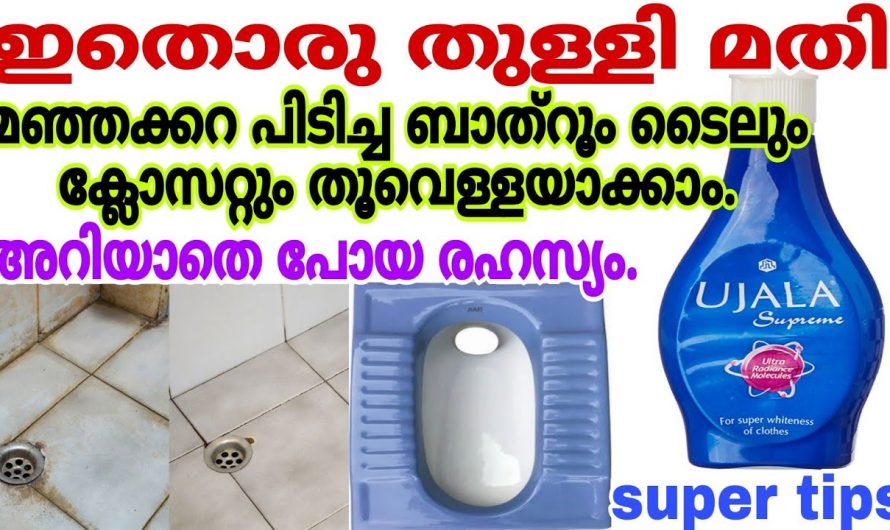 ബാത്റൂം ഇനി പളപളാ തിളങ്ങും.