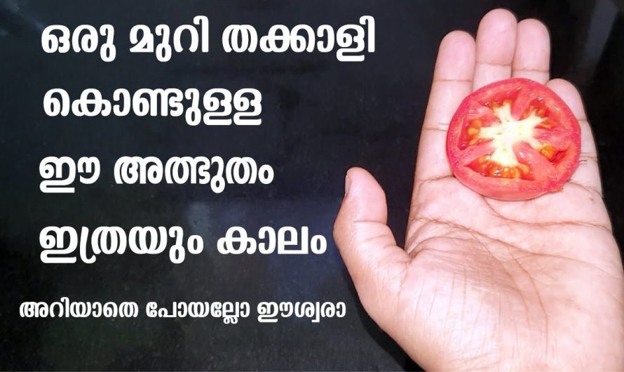 മുഖസൗന്ദര്യം വർദ്ധിപ്പിക്കുവാൻ തക്കാളി കൊണ്ട്.