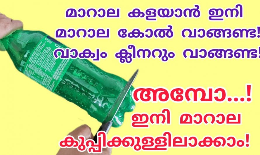 വീട്ടിലെ മാറാല തട്ടുവാൻ ഇതാ എളുപ്പമാർഗം