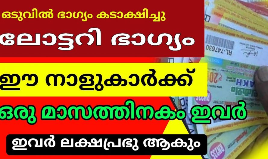 ഏപ്രിൽ 25ന് ശേഷം കുതിച്ചുയരുന്ന നക്ഷത്രങ്ങൾ…