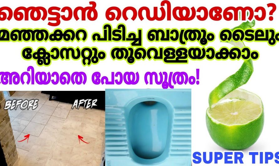 ഉപയോഗം കഴിഞ്ഞ് വലിച്ചെറിഞ്ഞു കളയുന്ന ഈ ഒരു സാധനം മാത്രം മതി വലിയ ഒരു ക്ലീനിങ് നടത്താൻ.