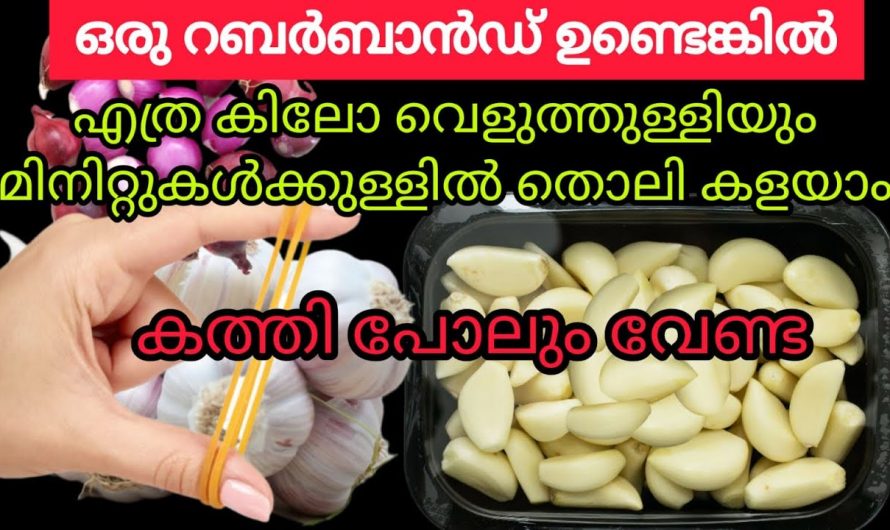 വെളുത്തുള്ളി സവാള എന്നിവ എളുപ്പത്തിൽ തൊലി കളയാൻ ഇതാ കിടിലൻ മാർഗ്ഗം..