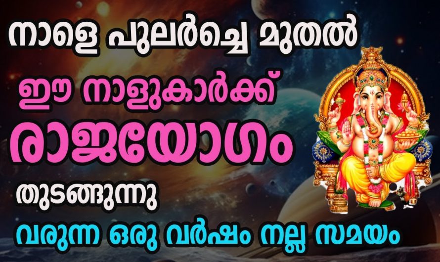 ഈ നക്ഷത്രക്കാർക്ക് സകല ബുദ്ധിമുട്ടുകളും മാറി ജീവിതത്തിൽ കുതിച്ചുയരുന്നു..