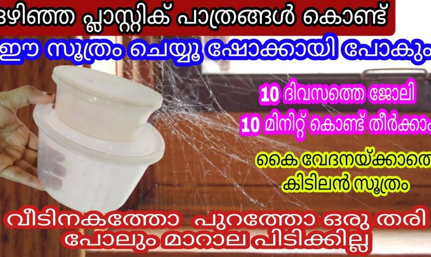 വീട്ടിൽ മാറാല ഇനി ഒരിക്കലും വരികയില്ല എങ്ങനെയെന്നല്ലേ.