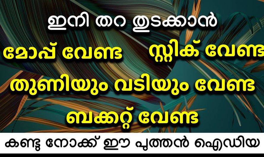 ഇനി നിലം ക്ലീൻ ചെയ്യുന്നതിനെ ബുദ്ധിമുട്ട് വേണ്ട ഇതൊരു കിടിലൻ മാർഗ്ഗം ..