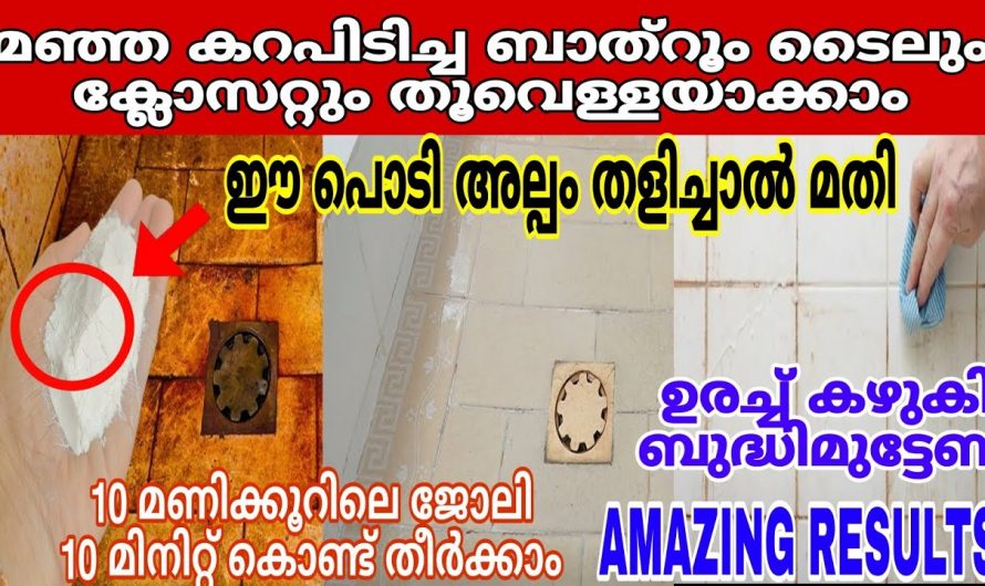 പാല് കേടുകൂടാതെ ദിവസങ്ങളോളം സൂക്ഷിക്കുവാൻ ഇങ്ങനെ ചെയ്തു നോക്കൂ.