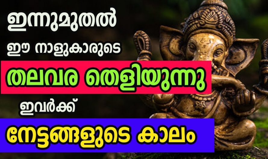 ജീവിതത്തിൽ  വളരെയധികം നേട്ടങ്ങൾ നേടിയെടുക്കുന്ന നക്ഷത്രക്കാർ..