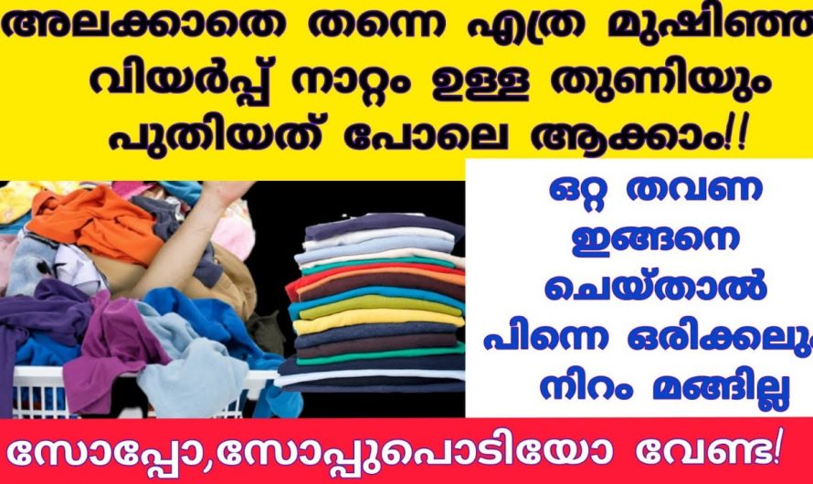 ഇത്തരം മാർഗം സ്വീകരിച്ചു നോക്കൂ ഞെട്ടിക്കും റിസൾട്ട്…