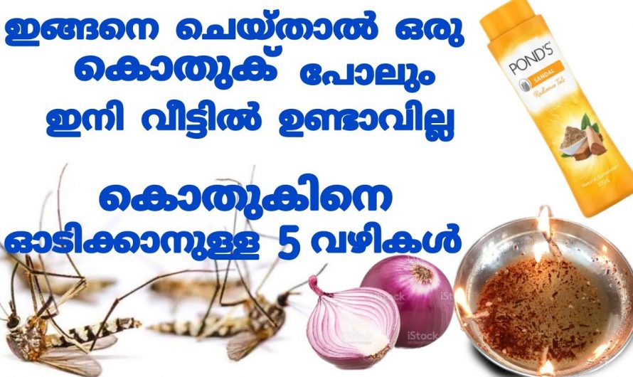 കൊതുകിനെ ഓടിപ്പിക്കുവാൻ ഇത് ഒരു എളുപ്പ മാർഗം.