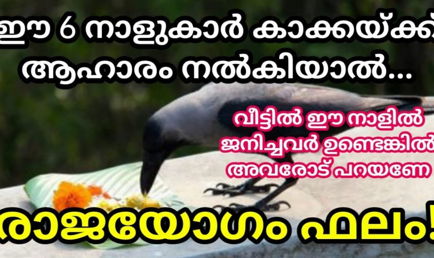 ഹൈന്ദവ വിശ്വാസം അനുസരിച്ച് കാക്കയ്ക്ക് ഭക്ഷണം നൽകിയാൽ ലഭിക്കുന്ന ഗുണങ്ങൾ…