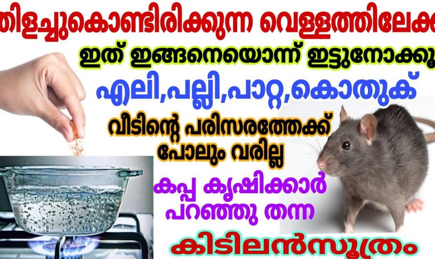 തിളക്കുന്ന വെള്ളത്തിലേക്ക് ഇതൊന്നും ഇട്ടാൽ സംഭവിക്കുന്നത് എന്താണെന്ന് അറിയാമോ.