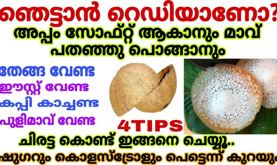 വളരെ രുചികരമായ പാലപ്പം എളുപ്പത്തിൽ തയ്യാറാക്കാൻ കിടിലൻ വഴി..