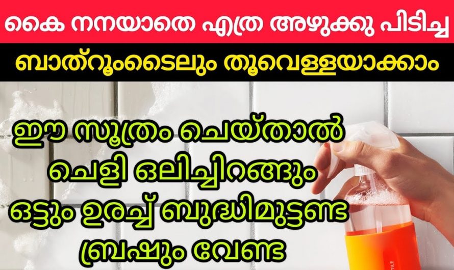 ബാത്റൂം കഴുകി ഇനി ഒട്ടും ബുദ്ധിമുട്ടേണ്ട ഇതാ കിടിലൻ മാർഗ്ഗം..