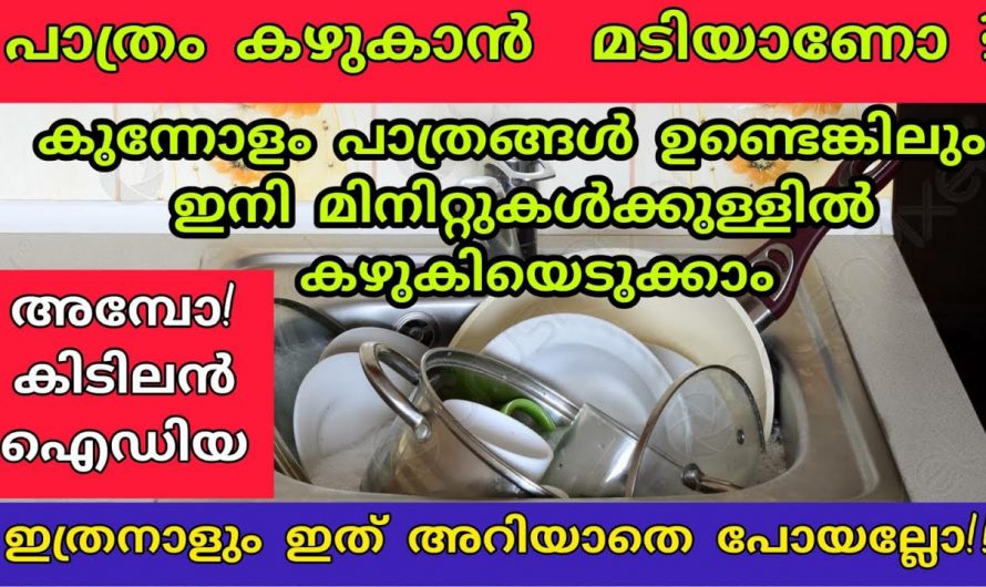 പാത്രങ്ങൾ കണ്ണാടി ചില്ലുപോലെ തിളങ്ങുവാൻ ഇങ്ങനെ ചെയ്താൽ മതി.