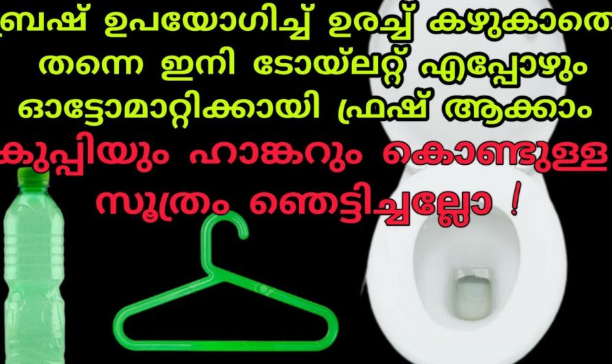 പത്തു മണിക്കൂർ കൊണ്ട് ചെയ്യുന്ന ജോലി 10 മിനിറ്റ് കൊണ്ട് ചെയ്യാം.