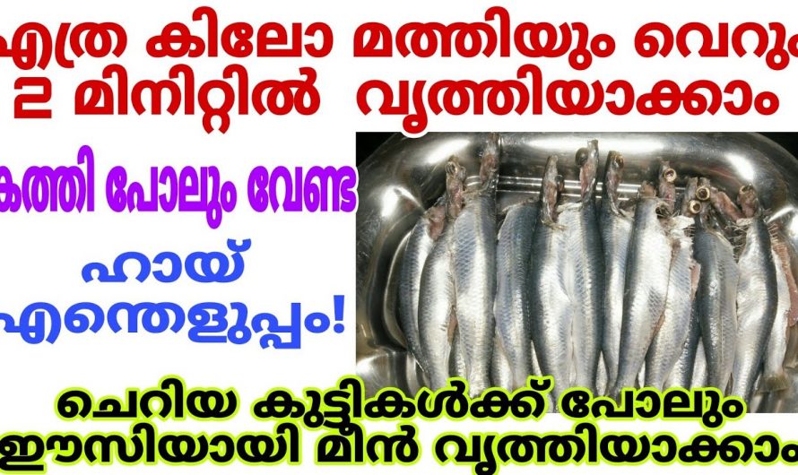 മത്തി വൃത്തിയാക്കി കഴുകുവാൻ ഇതിലും നല്ല മാർഗ്ഗം വേറെയില്ല.