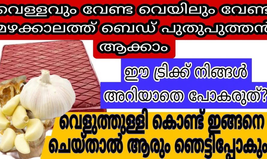 കറിയിലെ ഉപ്പു കൂടിയാൽ നമ്മൾ എന്താണ് ചെയ്യുക ഇതാ വഴിയുണ്ട്.