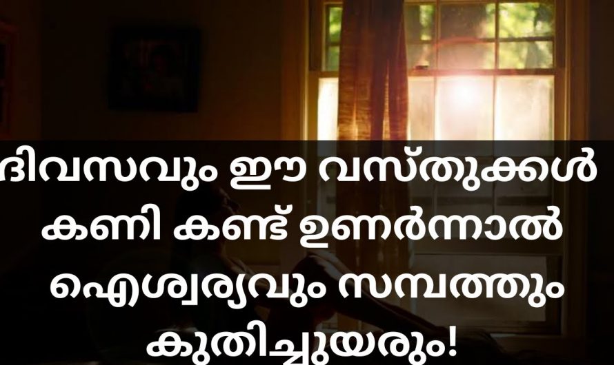 ഇന്നും രാവിലെ ഇങ്ങനെ കണി കാണിക്കുകയാണെങ്കിൽ ജീവിതം രക്ഷപ്പെടും..