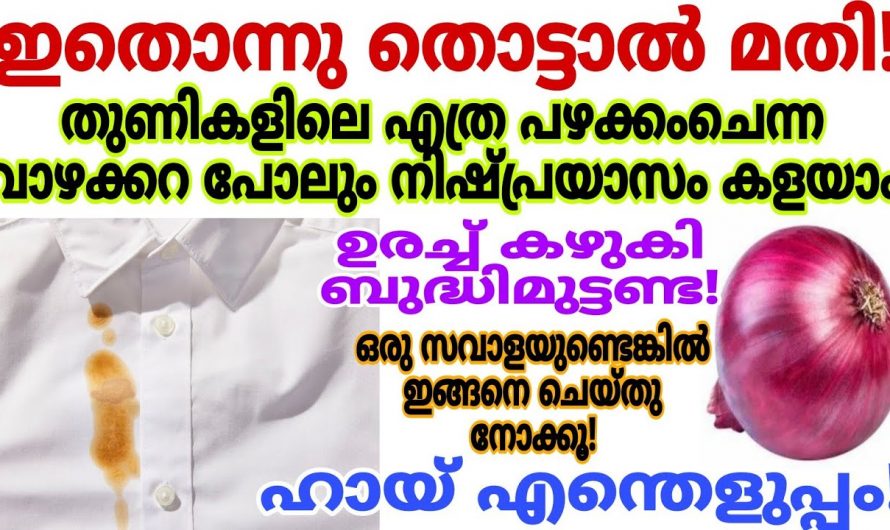 എത്ര പഴക്കം ചെന്ന വാഴക്കര പോലും മാറ്റിയെടുക്കാം തുണികളിൽ നിന്ന്.