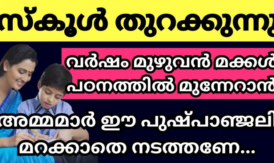 പുതിയ അധ്യായന വർഷം തുടങ്ങുമ്പോൾ അമ്മമാർ മക്കൾക്ക് വേണ്ടി ചെയ്യേണ്ട വഴിപാടുകൾ….