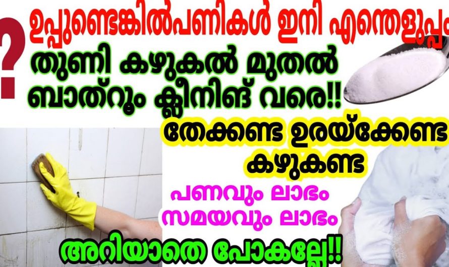 ഇതൊരു അല്പം മതി തേക്കാതെയും ഉരക്കാതെയും വസ്ത്രങ്ങളും ബാത്റൂം ഫ്ലോറും ഈസിയായി ക്ലീൻ ചെയ്യാം.