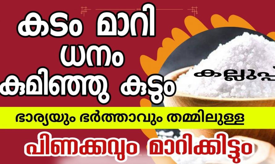 ഈയൊരു കാര്യം ചെയ്താൽ മതി ഭാര്യ ഭർത്താക്കന്മാർ തമ്മിലുള്ള പ്രശ്നം എന്നന്നേക്കുമായി പരിഹരിക്കാം.