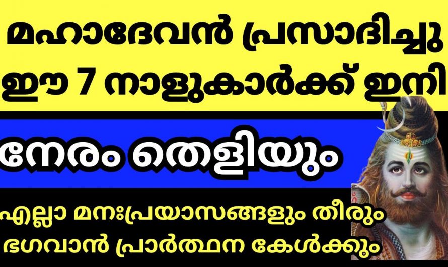 നഷ്ടങ്ങളെ മറികടന്ന് ജീവിതത്തിൽ കുതിച്ചുയരുന്ന നക്ഷത്രക്കാർ..