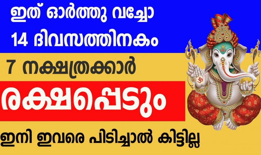 ഭാഗ്യത്തിന്റെ ആനുകൂല്യത്താൽ ജീവിതം മാറിമറിയുന്ന നക്ഷത്രക്കാർ..