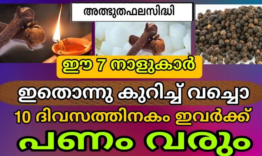 ഈശ്വരകൃപയാൽ സൗഭാഗ്യങ്ങളും ഉയർച്ചയും നേടുന്ന നക്ഷത്രക്കാർ..