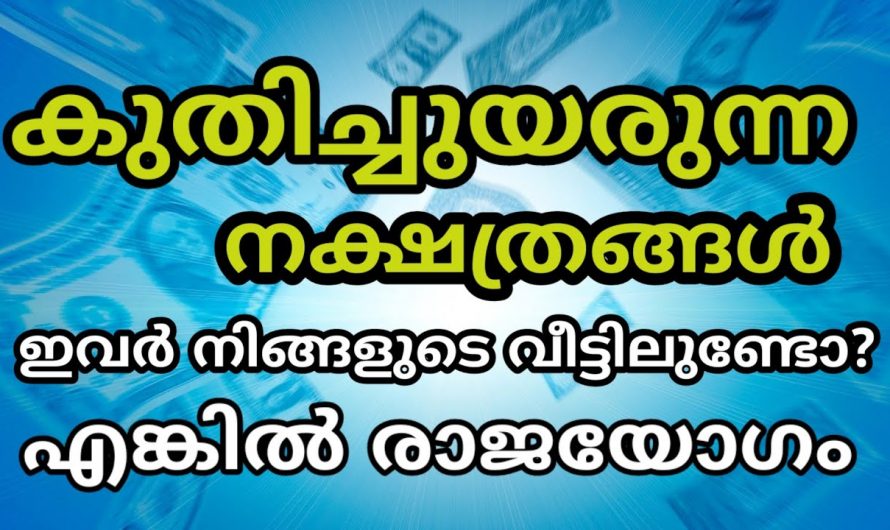 രാജയോഗത്താൽ ജീവിതത്തിൽ ഭാഗ്യങ്ങൾ വന്നു നിറയുന്ന  നക്ഷത്രക്കാർ..