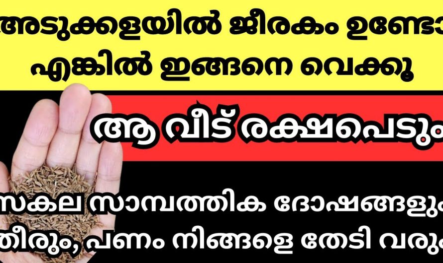 വീട്ടമ്മമാർ  ഒരു കാര്യം ചെയ്തു നോക്കൂ സാമ്പത്തിക ബുദ്ധിമുട്ടുകൾ പമ്പകടക്കും….