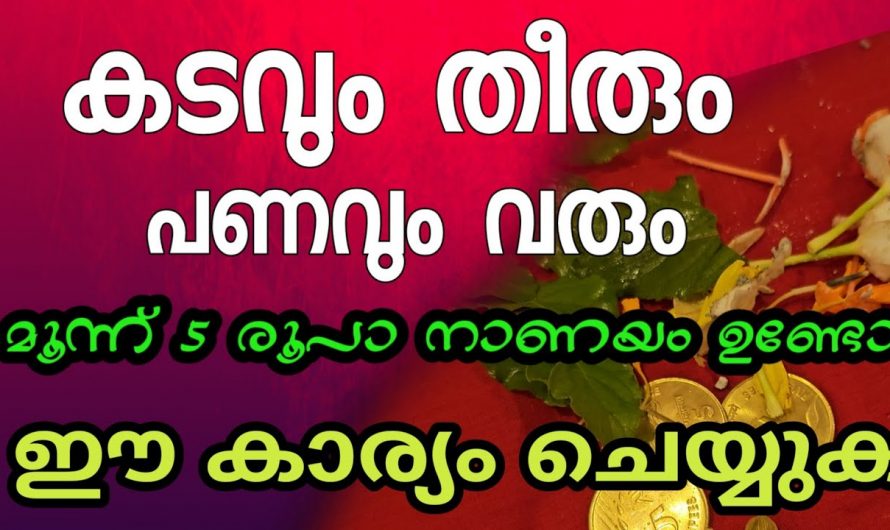 ദുഃഖങ്ങളും കടബാധ്യതയും ഇല്ലാതാക്കാൻ ചെയ്യേണ്ട ഈ ഒരു കാര്യം ആരും കാണാതിരിക്കല്ലേ.