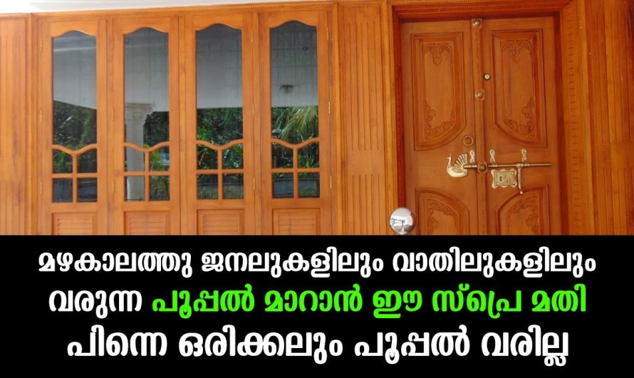 ഇതൊന്നു സ്പ്രേ ചെയ്താൽ മതി വാതിലുകളിലെ പൂപ്പൽ എന്നന്നേക്കുമായി ഇല്ലാതാക്കാം.