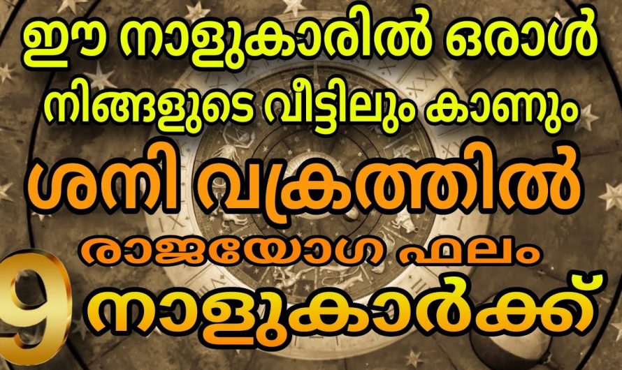 ജൂൺ 29 മുതൽ  രാജയോഗത്താൽ  ഉയരുന്ന നക്ഷത്രക്കാർ.