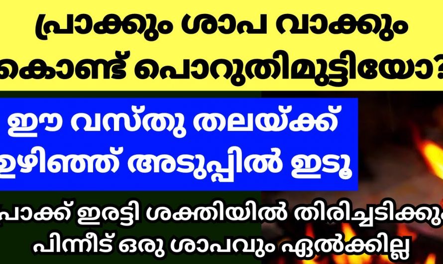 ഈയൊരു കാര്യം ചെയ്താൽ മതി പ്രാക്ക് ദോഷo എന്നനേക്കുമായി പരിഹരിക്കാം.