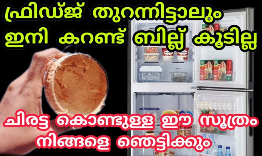 ഈയൊരു ട്രിക്ക് ചെയ്താൽ മതി ഫ്രിഡ്ജ് എത്ര നേരം തുറന്നിട്ടാലും കരണ്ട് ബില്ല് കൂടുകയില്ല.