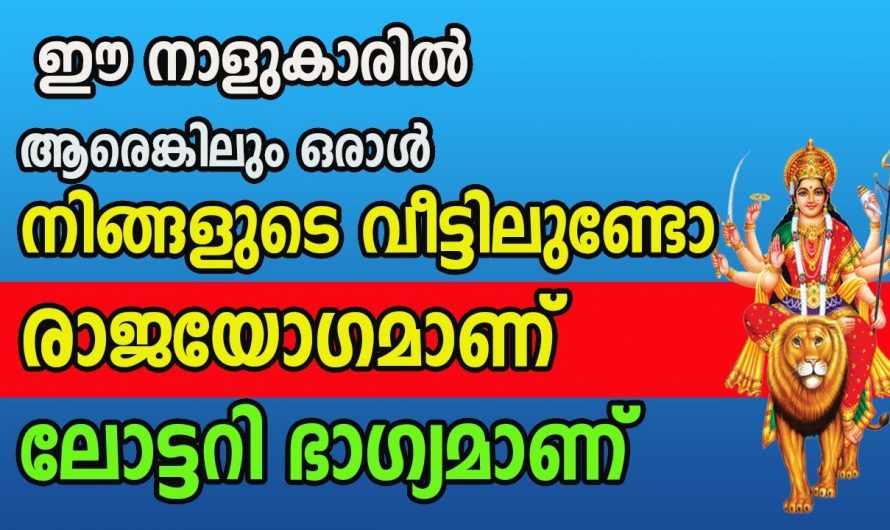 മിന്നുന്ന രാജയോഗത്താൽ ജീവിതം മാറിമറിയുന്ന നക്ഷത്രക്കാർ.