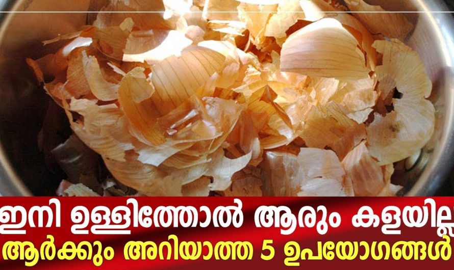 വെറുതെ കളയുന്ന ഇതിന് ഇത്രയും ഉപയോഗങ്ങളോ. കണ്ടു നോക്കൂ.