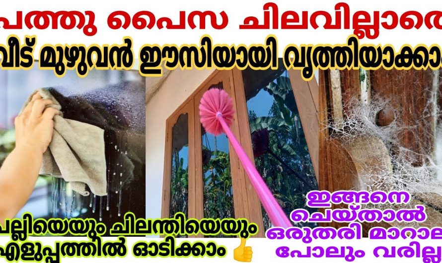 വീടു മുഴുവൻ വളരെ മനോഹരമായി  നിലനിർത്താൻ ഇതാ  കിടിലൻ വഴി…