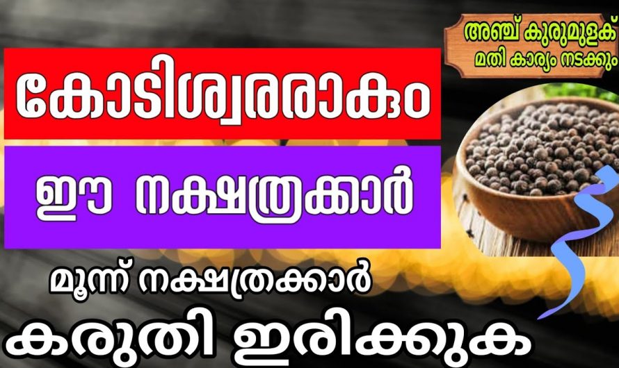 ആരെയും ഞെട്ടിപ്പിക്കുന്ന അധിസമ്പന്ന യോഗം സ്വന്തമാക്കിയിരിക്കുന്ന നക്ഷത്രക്കാർ..