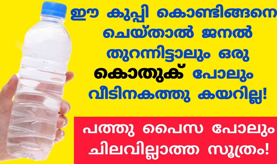 ഇങ്ങനെ ചെയ്താൽ മതി വാതിലും ജനലും തുറന്നിട്ടാൽ പോലും കൊതുക് വീട്ടിലേക്ക് കടക്കില്ല.