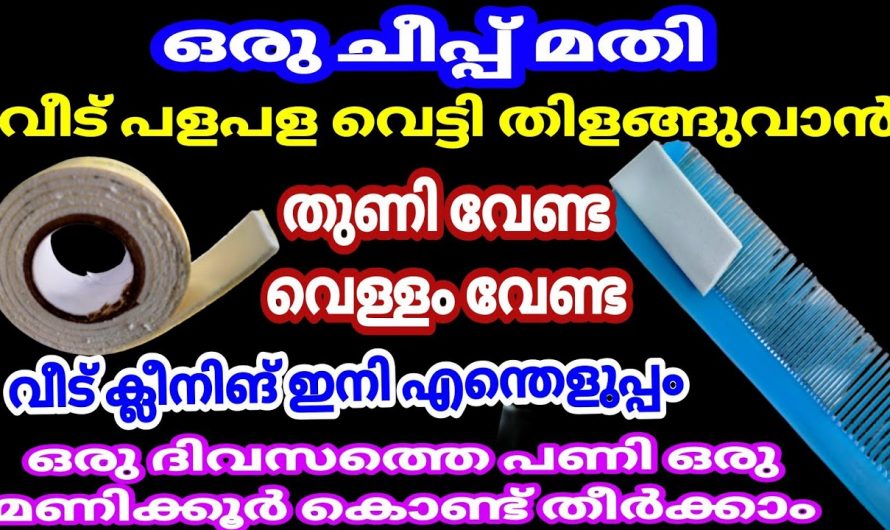 ഒരു തുള്ളി വെള്ളവും തുണിയും ഉപയോഗിക്കാതെ തന്നെ ഫ്ലോർ ക്ലീൻ ചെയ്യാൻ ഇനിയെന്തെളുപ്പം.