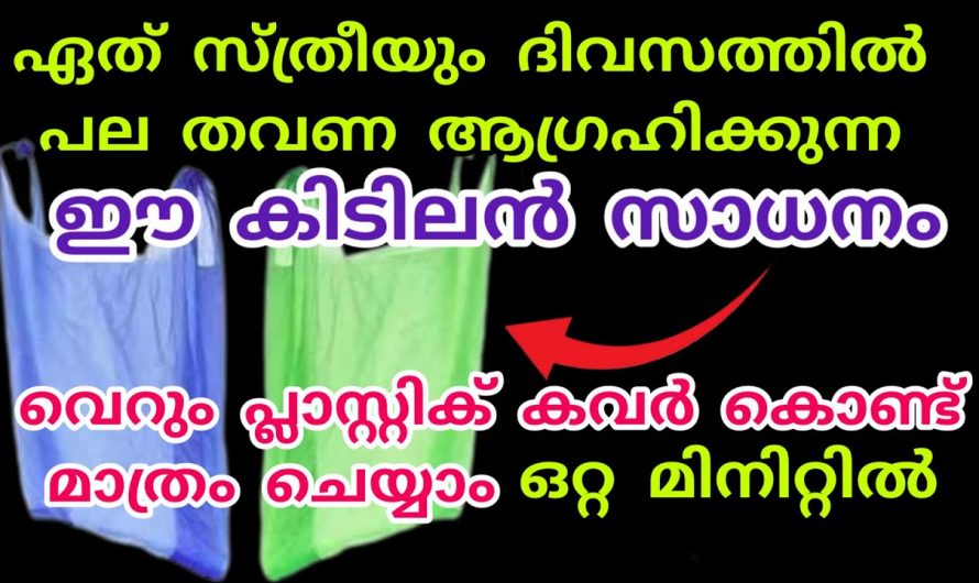 വെറുതെ കളയുന്ന ഇതൊന്നുമതി സ്ത്രീകൾക് ജോലി ഈസിയായി ചെയ്യാൻ.