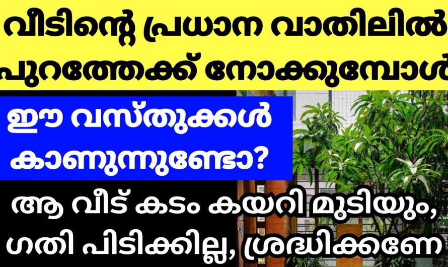 നമ്മുടെ വീടിനുള്ളിൽ നിന്ന് നോക്കുമ്പോൾ ഇത്തരത്തിലുള്ള കാഴ്ചകളാണ് കാണുന്നതെങ്കിൽ ഒട്ടും ഗുണം ചെയ്യില്ല….