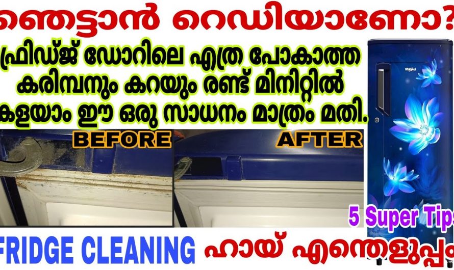 ഫ്രിഡ്ജിനുള്ളിലെ അഴുക്കും കറയും മിനിറ്റുകൾ കൊണ്ട് മറികടക്കാം.